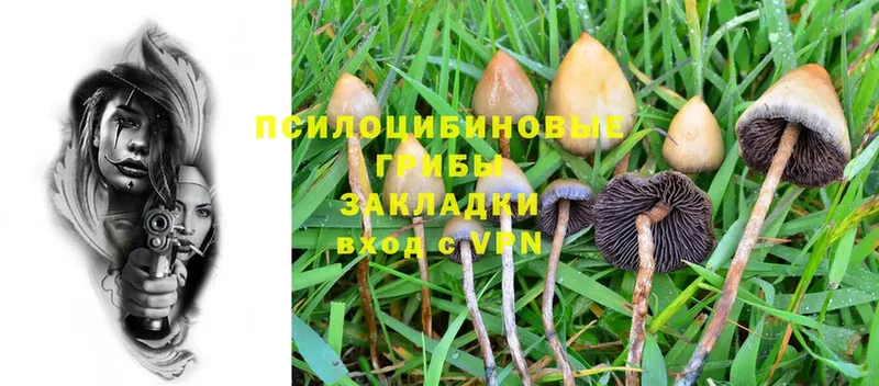 мега ССЫЛКА  Изобильный  Псилоцибиновые грибы Psilocybine cubensis 